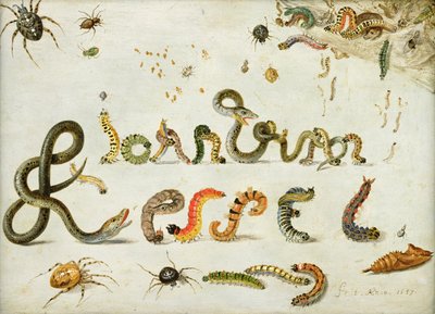Jardim e outras aranhas, lagartas soletram o nome do artista, 1657 (óleo sobre cobre) de Jan van Kessel the Elder
